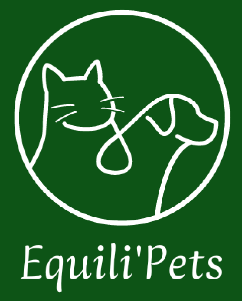 Equili'Pets - Pet sitting et Comportement chat & chien