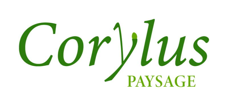 Corylus-Paysage
