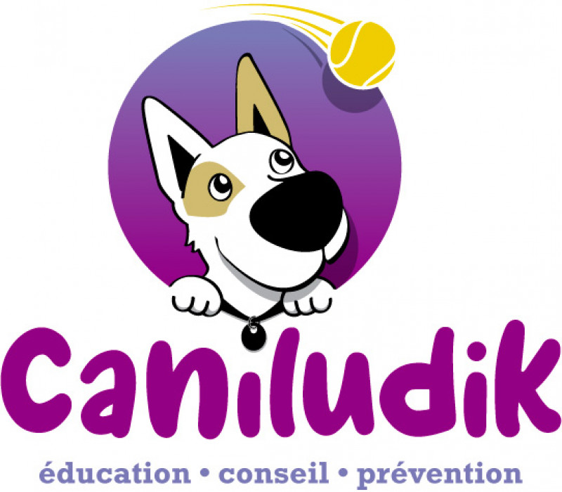 Caniludik - éducation canine
